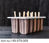 Cold summer dessert. Homemade chocolate ice cream popsicle on a stick in a mold on a dark wooden table with a copy of the space for text.. Plastic molds with coffee ice cream on a stick presented on a dark wooden background with copy space. Стоковое фото, агентство Ingram Publishing / Фотобанк Лори