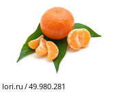 Isolated tangerine. Element of design. Стоковое фото, агентство Ingram Publishing / Фотобанк Лори