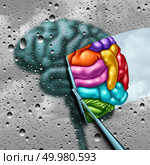 Brain creativity as a gray blurry brain with drops on a window as a wiper cleans the confusion to a creative thinking as a symbol of autism and autistic mind with 3D illustration elements. Стоковое фото, агентство Ingram Publishing / Фотобанк Лори
