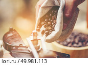 coffee dripping process, vintage filter image. Стоковое фото, агентство Ingram Publishing / Фотобанк Лори
