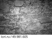 old brick wall in monotone color, vintage filter image. Стоковое фото, агентство Ingram Publishing / Фотобанк Лори