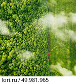 Aerial view of a rural road with a red car separating the forest and a green field, white clouds fly by in the air. Drone photography. Aerial view of the forest and green field and rural road with a red car. Drone photography. Стоковое фото, агентство Ingram Publishing / Фотобанк Лори