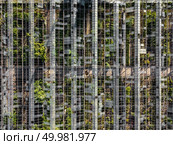 Aerial view large old greenhouses. Photo from the drone. Top view of the old greenhouse. Photo from the drone. Стоковое фото, агентство Ingram Publishing / Фотобанк Лори