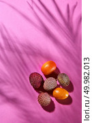 Whole ripe kumquat and lychee on a pink background with a pattern from the shadows. Summer concept. Top view. Tropical Fruits Litchi and Kumquat on a pink paper background with shadows. Top view. Стоковое фото, агентство Ingram Publishing / Фотобанк Лори