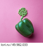 A beautiful fresh green sweet pepper on a pink background with a handful of green peas lined up like a leaf, top view with copy space. green sweet pepper and a pinch of green peas on a pink background. Стоковое фото, агентство Ingram Publishing / Фотобанк Лори