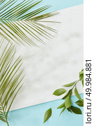 Top view of copy space covered by green palm leaf, green twig over blue background. White blank copy space for noting your ideas, emotions, etc.. Palm green leaves covering blank copy space. Стоковое фото, агентство Ingram Publishing / Фотобанк Лори
