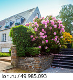 Natural stone landscaping in home garden with steps and flowerbeds. Natural stone landscaping in home garden with steps. Стоковое фото, агентство Ingram Publishing / Фотобанк Лори