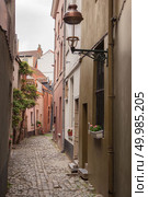 View of cobbled streets . Brussels is the capital of Belgium and the de facto capital of the European Union.. cobbled streets of Brussels. Стоковое фото, агентство Ingram Publishing / Фотобанк Лори
