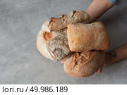 Hands of a baker carefully hold loaf on a gray concrete background. hand holding tasty fresh bread, Стоковое фото, агентство Ingram Publishing / Фотобанк Лори