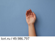 An open female hand gives or takes something, isolated on a blue background.. Female hand isolated on blue background. Стоковое фото, агентство Ingram Publishing / Фотобанк Лори