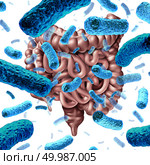 Gut bacteria as probiotic bacterium inside small intestine and digestive microflora inside the colon or bowel as a health symbol for microbiome as a 3D render. Стоковое фото, агентство Ingram Publishing / Фотобанк Лори
