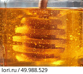Natural flower yellow honey background with in glass jar with wooden dipper. Jewish holiday Rosh Hashanah background. Close-up.. Macro close-up honey background with natural flower yellow dessert in glass pot with wooden dipper. Jewish New Year healthy holiday. Стоковое фото, агентство Ingram Publishing / Фотобанк Лори