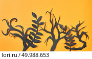 Composition of paper handcraft leaves and trees branches on an orange background with space for text. Halloween postcard. Flat lay. Mystical pattern of black paper handcraft leaves and trees on an orange background with space for text. Halloween layout. Flat lay. Стоковое фото, агентство Ingram Publishing / Фотобанк Лори
