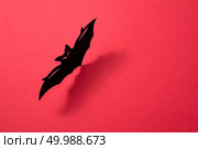 Paper flying handcraft bat presented on a red background with a pattern of shadows and space for text. Mystic Halloween layout. Flat lay. Handcraft paper bat on a red background with shadow and copy space for text. Layout to Halloween. Flat lay. Стоковое фото, агентство Ingram Publishing / Фотобанк Лори