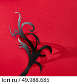 Handcraft black tree from paper on a red background with reflection of shadows and copy space for text. Creative Halloween layout. Flat lay. Mystical composition of handmade craft paper a tree from a pattern of shadows on a red background with space for text. Halloween card. Flat lay. Стоковое фото, агентство Ingram Publishing / Фотобанк Лори