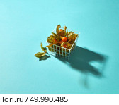 Physalis fruits with husk in a plastic basket with reflection of a shadow on a blue background.. Physalis in a basket isolated on a blue background. Стоковое фото, агентство Ingram Publishing / Фотобанк Лори