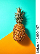 Tropical Pineapple fruit presented on a green orange background top view. Ripe pineapple isolated on an orange green background top view. Стоковое фото, агентство Ingram Publishing / Фотобанк Лори