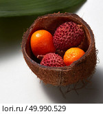 The tropical exotic fruits lytchi and kumquat in coconut shell with evergreen leaves isolated on a white background. Close-up photo.. Close-up of lytchi and kumquat fruits in coconut shell with tropical green leaves isolated on white background. Стоковое фото, агентство Ingram Publishing / Фотобанк Лори