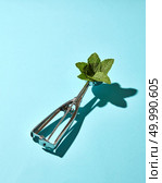 Creative composition from mint leaves in the metal spoon for ice cream on a blue glass background with shadows. Food modern style.. The spoon for ice cream with mint leaves on a blue background with hard shadows. Food concept. Стоковое фото, агентство Ingram Publishing / Фотобанк Лори