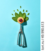 Creative composition from mint leaves in the metal spoon for ice cream and biscuit with cherry on a blue glass background with shadows. Food modern style, top view.. Flat lay of spoon for ice cream with mint leaves, biscuit and cherry on a blue background with hard shadows. Food concept. Стоковое фото, агентство Ingram Publishing / Фотобанк Лори