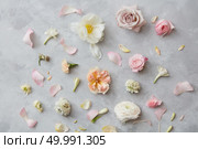 Woman’s Day concept. Composition of different flowers over grey background represented separately one from another.. Composition of flowers on grey background. Стоковое фото, агентство Ingram Publishing / Фотобанк Лори