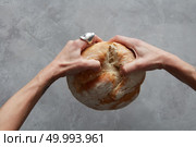 woman breaking a loaf of bread. Could be used either for Lord’s Supper or feeding the needy.. hand breaking Bread. Стоковое фото, агентство Ingram Publishing / Фотобанк Лори