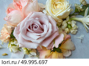 Closeup of big rose among different flowers represented on grey background. Composition of flowers may be used for any decoration in Valentine’s Day.. Roses on grey background. Стоковое фото, агентство Ingram Publishing / Фотобанк Лори