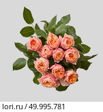 Creative pink bouquet of rose with green leaves on gray background as a concept of a holiday greeting card for Mother’s Day or March 8 . Flat lay composition.. close-up of pink bouquet of rose with green leaves on a gray background. Стоковое фото, агентство Ingram Publishing / Фотобанк Лори