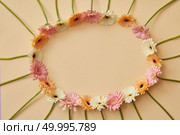 Oval frame from different colorful gerbera flowers on a beige background as post card for Valentine’s Day, 8 march or Mother’s day. Top view. Oval frame from gerbera flowers on a yellow background with copy space. Стоковое фото, агентство Ingram Publishing / Фотобанк Лори