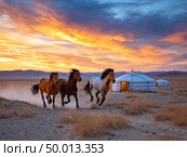 Wild horses running at sunset near yurt in mongolian landscape. Стоковое AI-изображение, AI-художник Olga Didraga / Фотобанк Лори