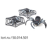 Spider fakes for use in Halloween. Стоковое фото, агентство Ingram Publishing / Фотобанк Лори