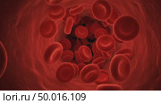 Human red blood cells flowing inside a healthy blood vessel. Healthy red blood cells inside a vein clear of cholesterol plaque. Medical health concept of blood analysis. Стоковое AI-видео, аниматор Ольга Яковенко / Фотобанк Лори