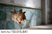Crumbling wall with exposed brick and weathered tiles. Стоковое AI-изображение, AI-художник Юрий Поздников / Фотобанк Лори