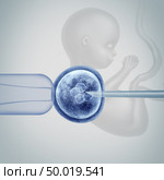 Gene editing science in vitro genetic CRISPR genome engineering medical biotechnology health care concept with a fertilized human egg embryo and a group of dividing cells with a fetus with 3D illustration elements. Стоковое фото, агентство Ingram Publishing / Фотобанк Лори