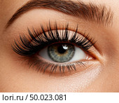 False eyelashes on a woman's face close-up. Стоковое AI-изображение, AI-художник Анна Никонорова / Фотобанк Лори