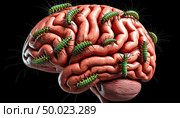 The human brain is teeming with worms. Стоковое AI-изображение, AI-художник Анна Никонорова / Фотобанк Лори