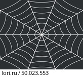Spider web illustration. Стоковая иллюстрация, иллюстратор Максим Гребешков / Фотобанк Лори