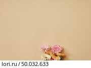 Congratulatory frame of beautiful delicate flowers appearing from female hands on a pastel yellow background with copy space. Stop motion animation. Flat lay.. Delicate pastel flowers gerbera grow from women’s hands and form a frame with a place for a greeting text on a light yellow background. Стоковое фото, агентство Ingram Publishing / Фотобанк Лори