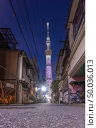 Tokyo skytree sunset in japan. Tokyo Skytree is the highest free-standing structure in Japan and 2nd in the world with over 10million visitors each year. Стоковое фото, агентство Ingram Publishing / Фотобанк Лори