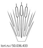 Reed Bulrush Reeds Club-rush ling Cane rush icon black color outline vector illustration flat style simple image. Reed Bulrush Reeds Club-rush ling Cane rush icon black color outline vector illustration flat style image. Стоковая иллюстрация, агентство Ingram Publishing / Фотобанк Лори