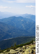 mountain landscape with evergreen tree. nature. Стоковое фото, агентство Ingram Publishing / Фотобанк Лори