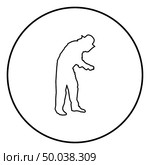Beekeeper in protective outfit clothing with hat with grid of bee stings collects honey Beekeeper beemaster apiarist in apiary taking honey icon outline black color vector in circle round illustration flat style simple image. Стоковая иллюстрация, агентство Ingram Publishing / Фотобанк Лори