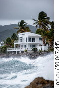 Modern white beachfront villa facing rough ocean waves and stormy skies, surrounded by swaying palm trees, conveying tropical luxury and coastal drama. Стоковое AI-изображение, AI-художник Катерина Бондарец / Фотобанк Лори