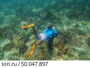 snorkeling diver make a free diving on tropical reef with blue background and reef fish in andaman sea indian ocean Thailand. Стоковое фото, агентство Ingram Publishing / Фотобанк Лори
