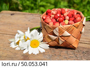 Лукошко лесной земляники и ромашки. Стоковое фото, фотограф Photolart / Фотобанк Лори