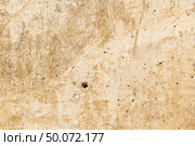 Rusty stone concrete surface in tan color, detailed natural texture. Стоковое фото, агентство Ingram Publishing / Фотобанк Лори