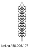 Spikelet of wheat Plant branch icon outline black color vector illustration flat style simple image. Стоковая иллюстрация, агентство Ingram Publishing / Фотобанк Лори