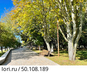 Парковая аллея на острове Канта в Калининграде осенью (2021 год). Стоковое фото, фотограф Овчинникова Ирина / Фотобанк Лори