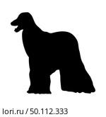 Afghan Hound Dog Silhouette. Smooth Vector Illustration. Стоковая иллюстрация, агентство Ingram Publishing / Фотобанк Лори