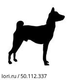 Basenji Dog Silhouette. Smooth Vector Illustration. Стоковая иллюстрация, агентство Ingram Publishing / Фотобанк Лори
